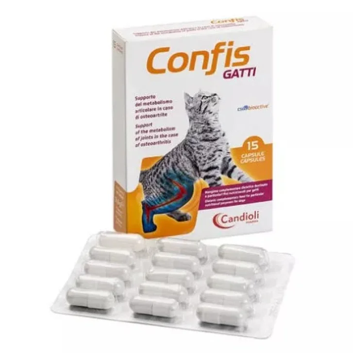 epharmacy1206843