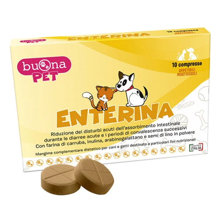 epharmacy1227202
