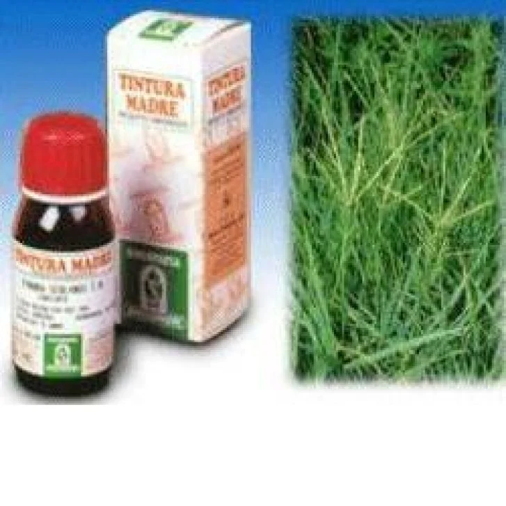 epharmacy1587239