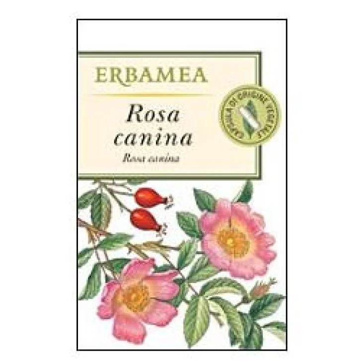 epharmacy1646101
