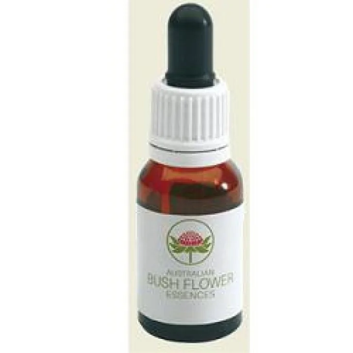 epharmacy1689584