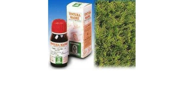 farmaciagaudiana-11371226