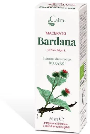 lovesano-11428013