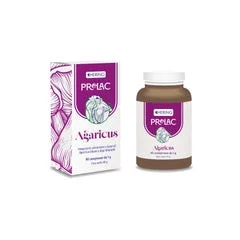 lovesano-31488668