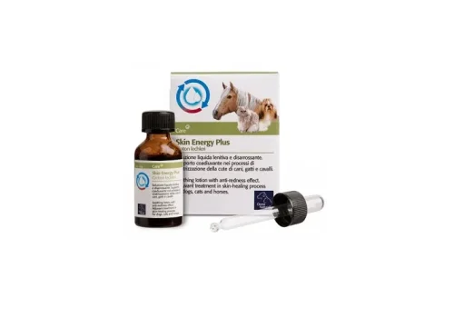 pharmasi-11132477
