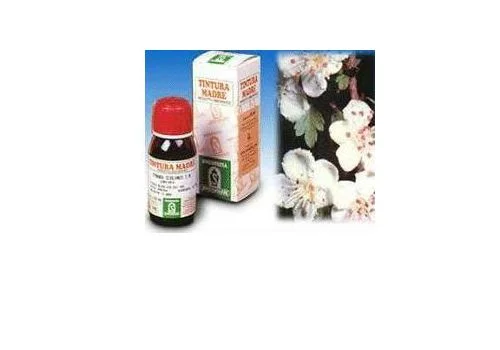 pharmasi1341474