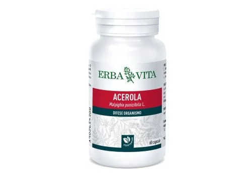 pharmasi981288